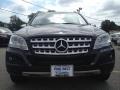 Black - ML 350 4Matic Photo No. 2