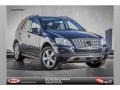 Steel Grey Metallic - ML 350 Photo No. 1