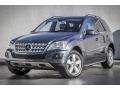 Steel Grey Metallic - ML 350 Photo No. 12