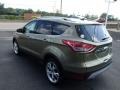 2014 Ginger Ale Ford Escape Titanium 1.6L EcoBoost 4WD  photo #6