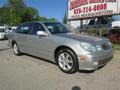 Millennium Silver Metallic - GS 300 Photo No. 11