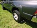 2009 Magnetic Gray Metallic Toyota Tacoma V6 Access Cab 4x4  photo #41