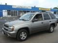 Graystone Metallic - TrailBlazer LS 4x4 Photo No. 1
