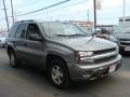 Graystone Metallic - TrailBlazer LS 4x4 Photo No. 3