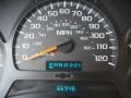 Graystone Metallic - TrailBlazer LS 4x4 Photo No. 10