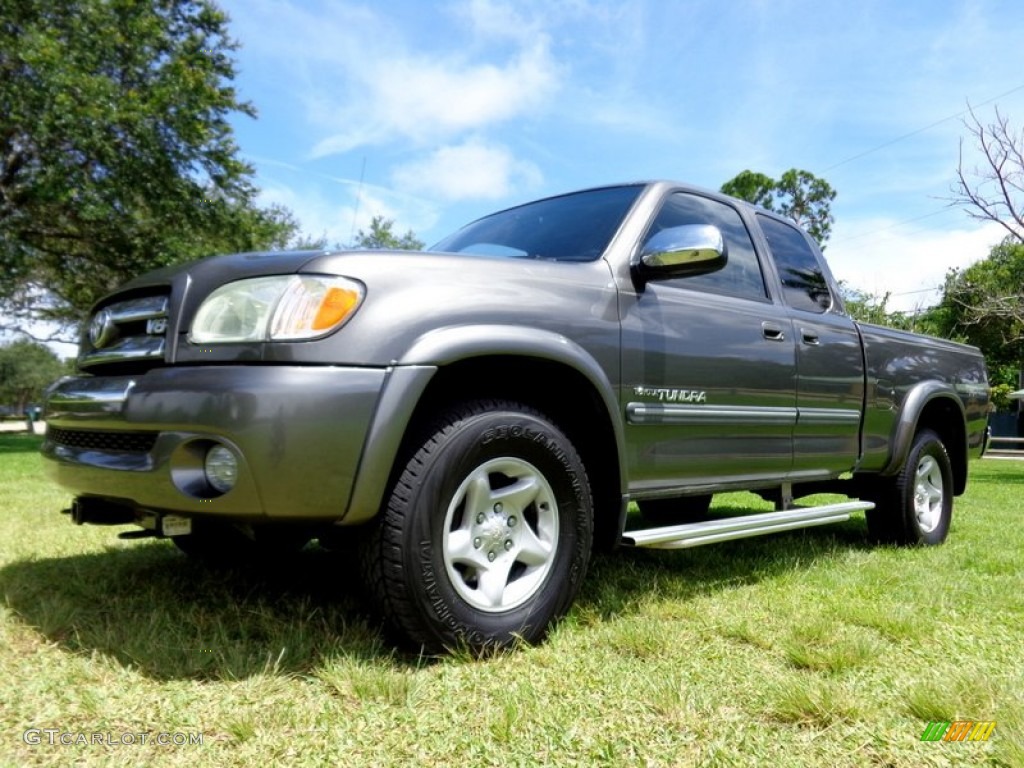 2003 Tundra SR5 Access Cab 4x4 - Phantom Gray Pearl / Gray photo #16