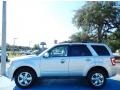 Ingot Silver Metallic - Escape XLT Photo No. 2