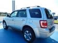 Ingot Silver Metallic - Escape XLT Photo No. 3