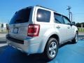 Ingot Silver Metallic - Escape XLT Photo No. 5