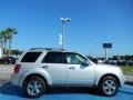 Ingot Silver Metallic - Escape XLT Photo No. 6