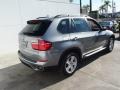 Platinum Gray Metallic - X5 xDrive35d Photo No. 8