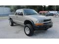 Light Pewter Metallic - S10 LS Extended Cab 4x4 Photo No. 5