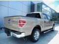 2013 Pale Adobe Metallic Ford F150 XLT SuperCrew  photo #2