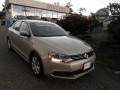 Moonrock Silver Metallic - Jetta SE Sedan Photo No. 1