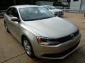 2012 Moonrock Silver Metallic Volkswagen Jetta TDI Sedan  photo #6