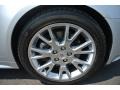 Radiant Silver Metallic - CTS Coupe Photo No. 25