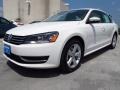 2014 Candy White Volkswagen Passat 2.5L SE  photo #3