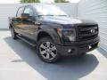 Tuxedo Black Metallic - F150 FX4 SuperCrew 4x4 Photo No. 2