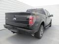 Tuxedo Black Metallic - F150 FX4 SuperCrew 4x4 Photo No. 4