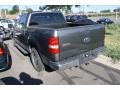 2006 Dark Shadow Grey Metallic Ford F150 XLT SuperCrew  photo #3
