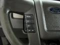 2010 Blue Flame Metallic Ford F150 STX SuperCab 4x4  photo #15