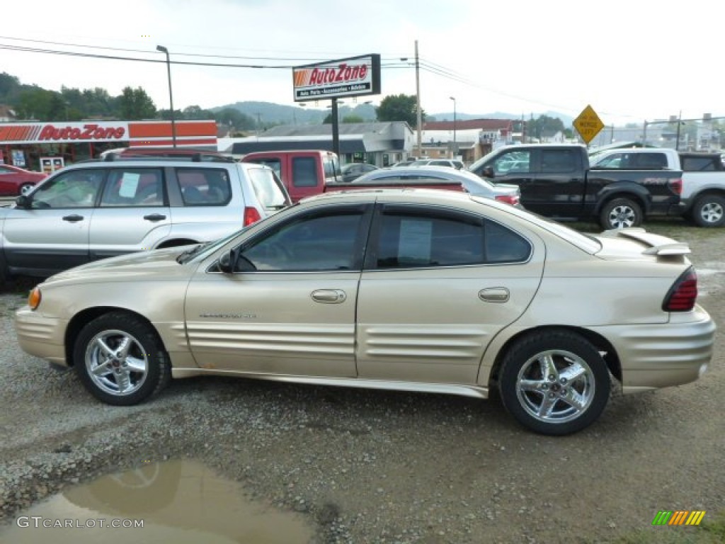 2002 Grand Am SE Sedan - Champagne Beige Metallic / Dark Taupe photo #2