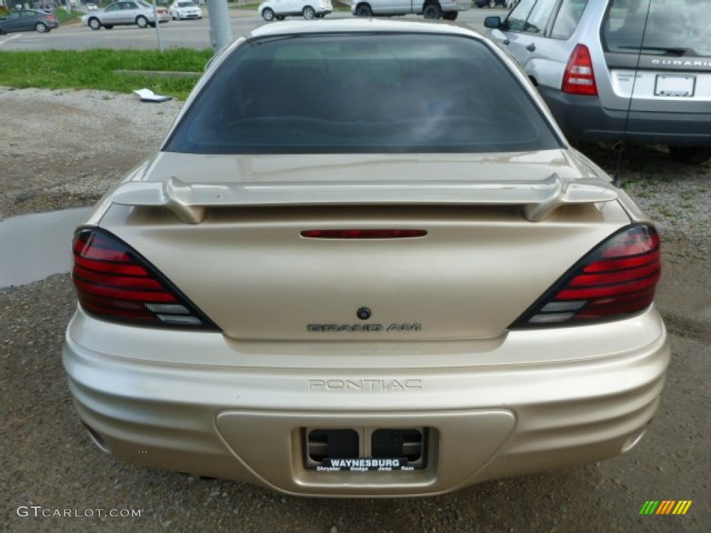 2002 Grand Am SE Sedan - Champagne Beige Metallic / Dark Taupe photo #4