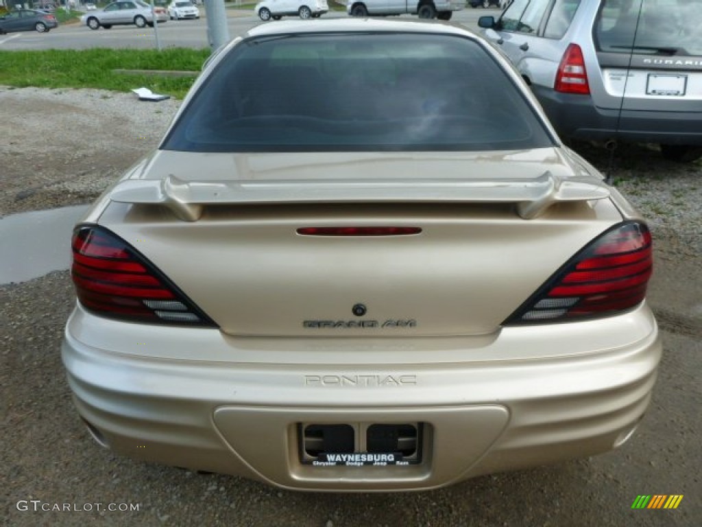 2002 Grand Am SE Sedan - Champagne Beige Metallic / Dark Taupe photo #4