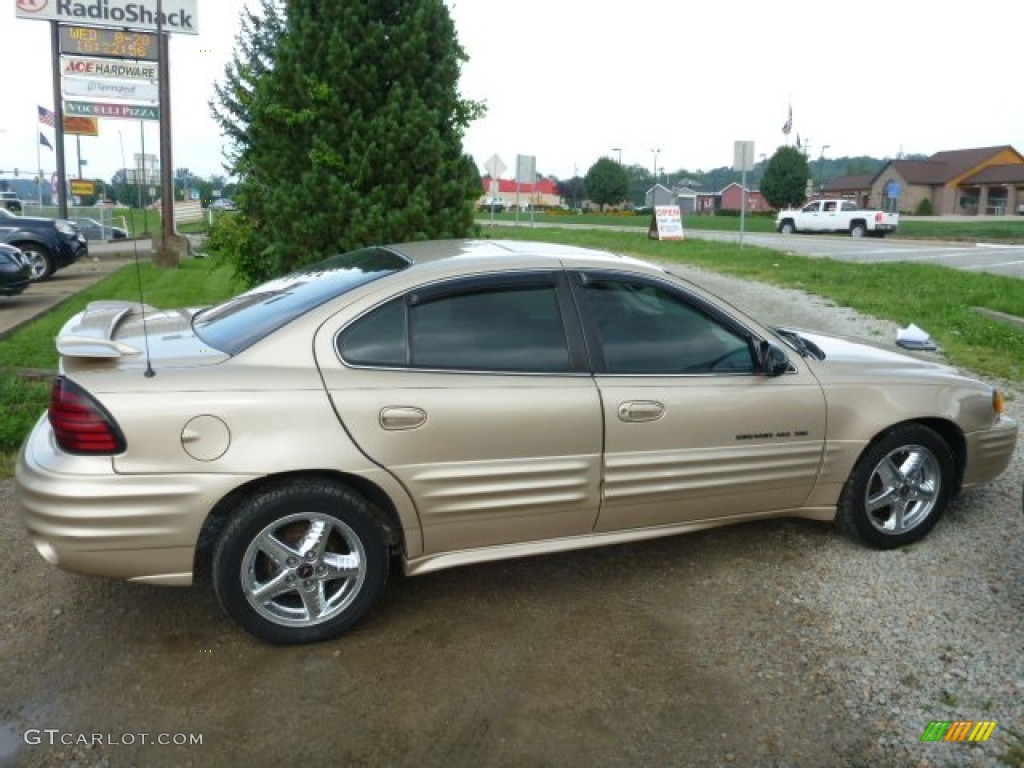 2002 Grand Am SE Sedan - Champagne Beige Metallic / Dark Taupe photo #6