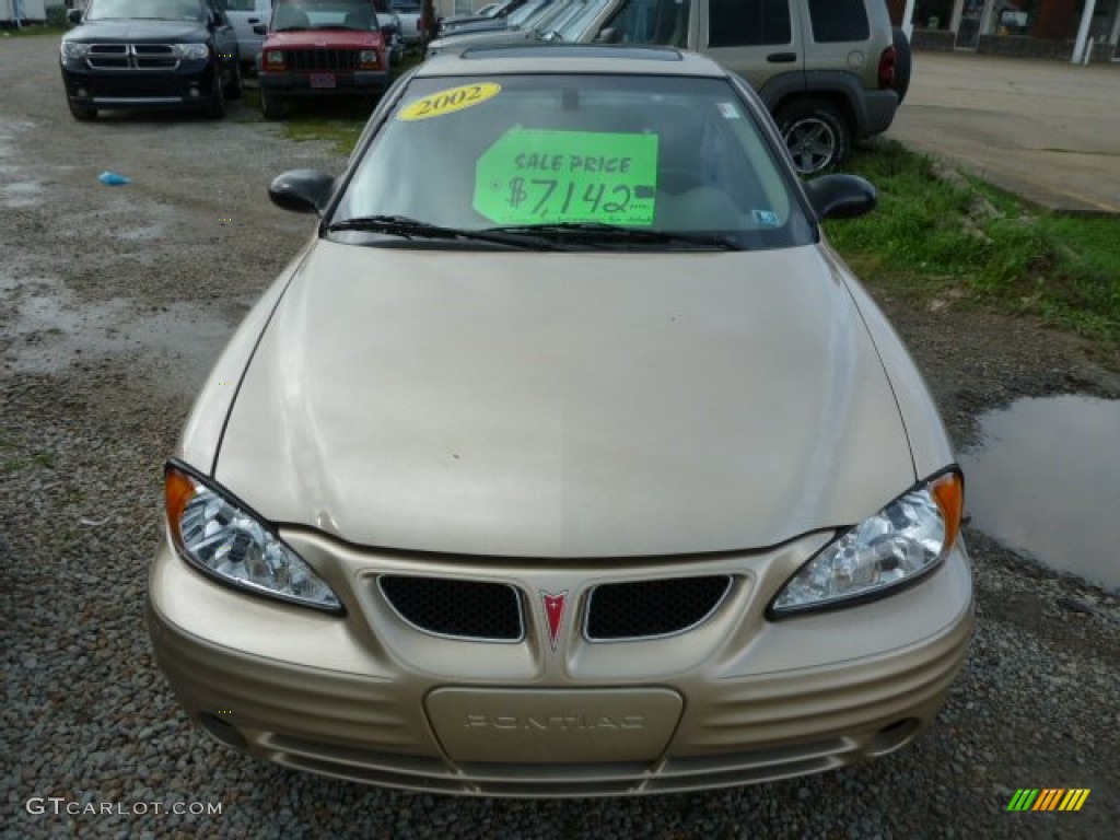 2002 Grand Am SE Sedan - Champagne Beige Metallic / Dark Taupe photo #8