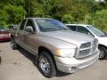 Light Almond Pearl 2002 Dodge Ram 1500 ST Quad Cab 4x4