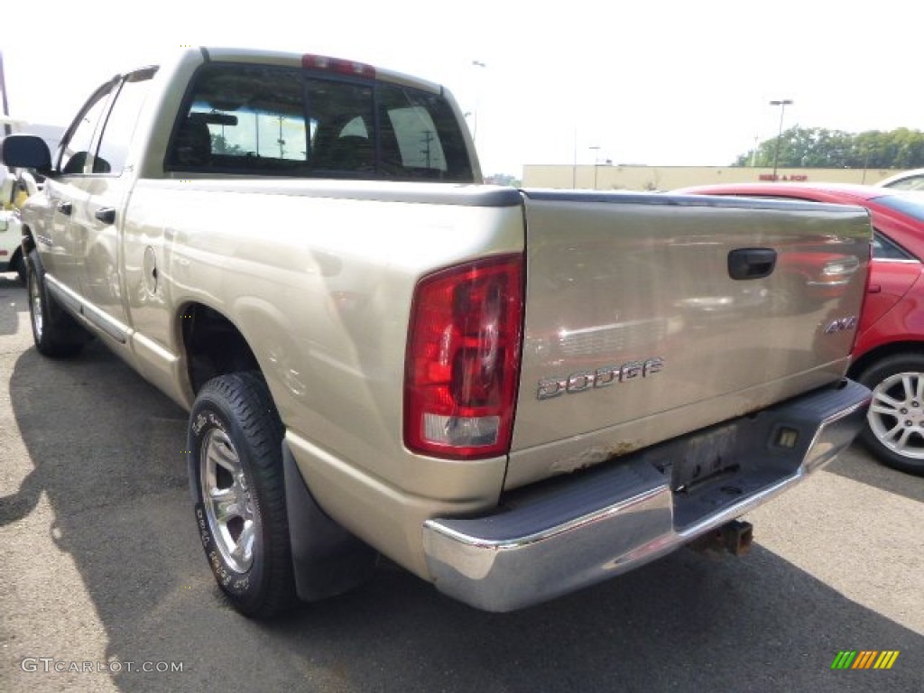 2002 Ram 1500 ST Quad Cab 4x4 - Light Almond Pearl / Taupe photo #4