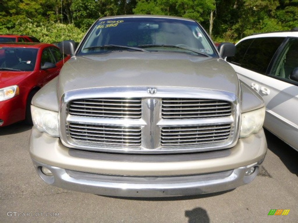 2002 Ram 1500 ST Quad Cab 4x4 - Light Almond Pearl / Taupe photo #6