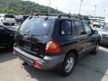 Black Obsidian - Santa Fe GLS AWD Photo No. 6