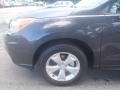 Dark Gray Metallic - Forester 2.5i Premium Photo No. 2