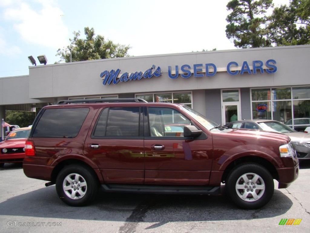 2010 Expedition XLT - Royal Red Metallic / Stone photo #1
