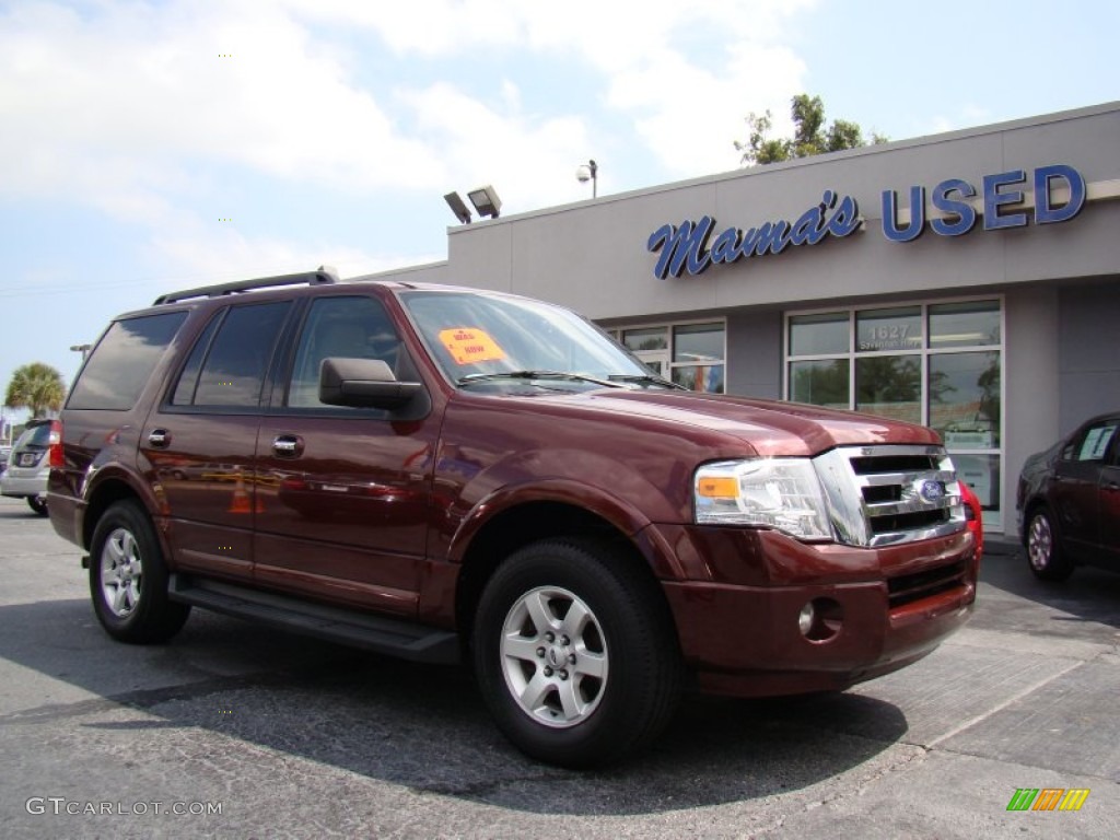 2010 Expedition XLT - Royal Red Metallic / Stone photo #2