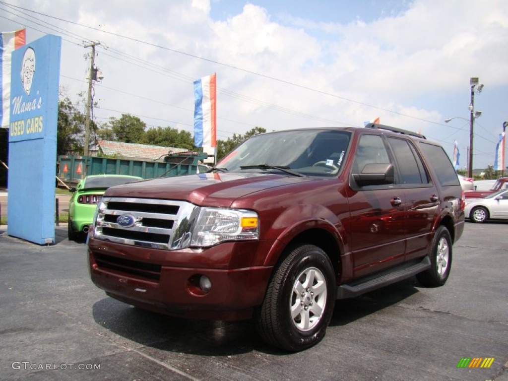 2010 Expedition XLT - Royal Red Metallic / Stone photo #3