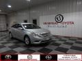 Radiant Silver - Sonata GLS Photo No. 1
