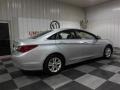 Radiant Silver - Sonata GLS Photo No. 7