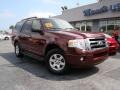 2010 Royal Red Metallic Ford Expedition XLT  photo #24