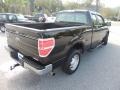 Tuxedo Black Metallic - F150 XL SuperCab Photo No. 12