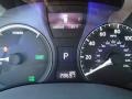 2010 Tungsten Silver Pearl Lexus RX 450h AWD Hybrid  photo #19