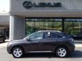 2010 Truffle Brown Mica Lexus RX 350 AWD  photo #2