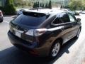 2010 Truffle Brown Mica Lexus RX 350 AWD  photo #5