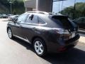2010 Truffle Brown Mica Lexus RX 350 AWD  photo #7