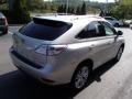 2010 Tungsten Silver Pearl Lexus RX 450h AWD Hybrid  photo #5