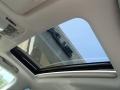 2010 Tungsten Silver Pearl Lexus RX 450h AWD Hybrid  photo #13