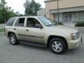 2004 Sandstone Metallic Chevrolet TrailBlazer LS 4x4  photo #10