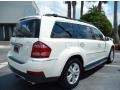 Arctic White - GL 450 4Matic Photo No. 7